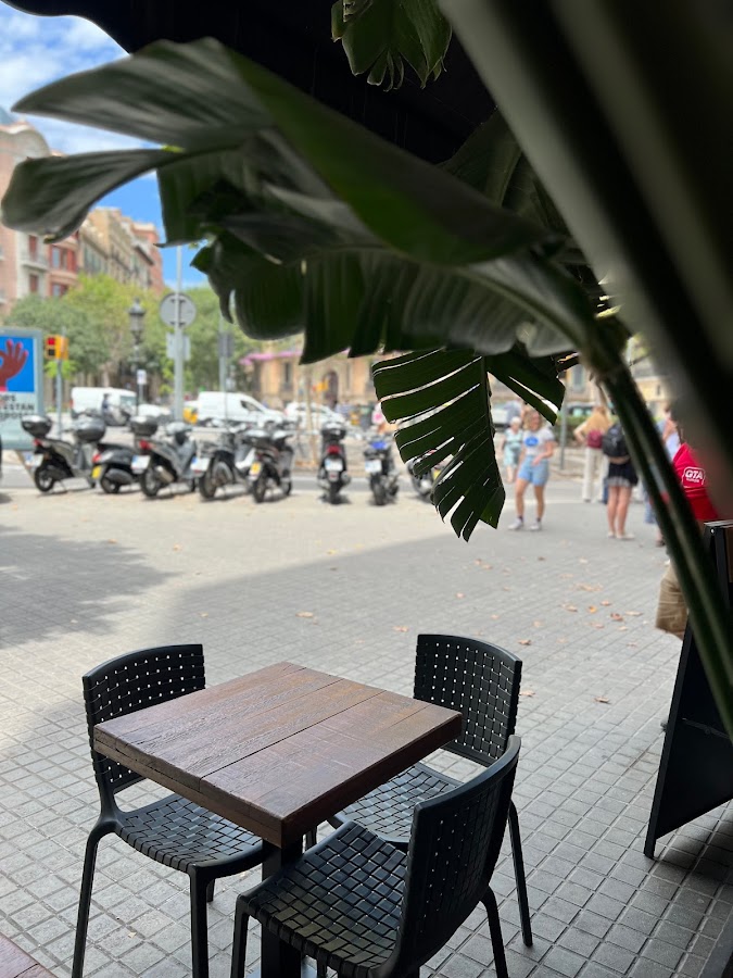 La Taberna De L'EIXAMPLE Venezolanos